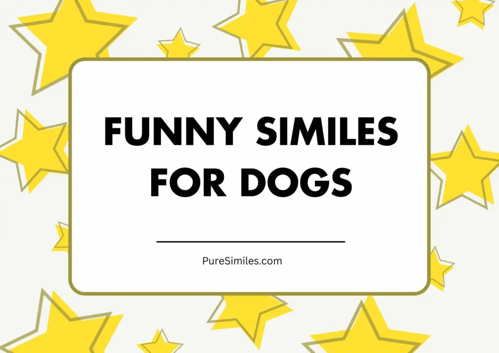Funny Similes for Dogs