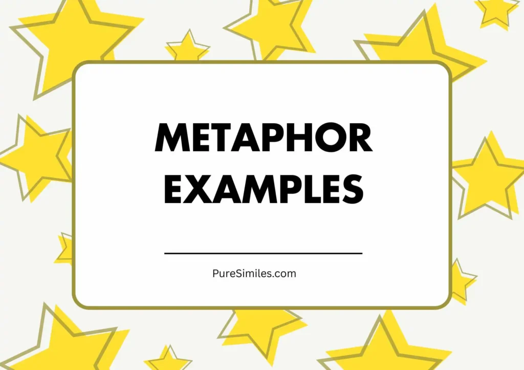 Metaphor Examples