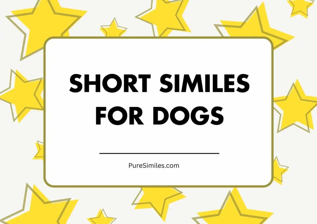 Short Similes for Dogs