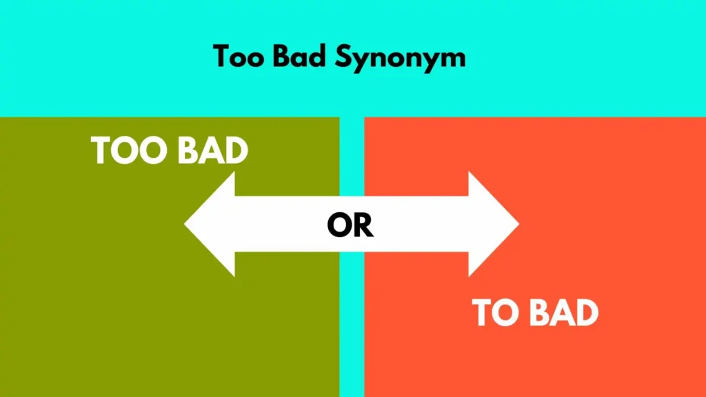 Too Bad Synonym